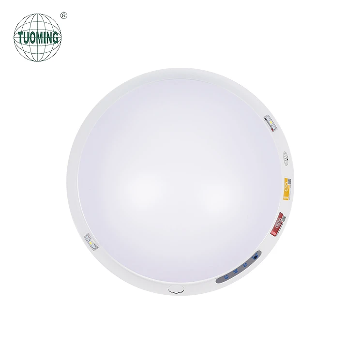 Qab nthab Mount LED Emergency Teeb