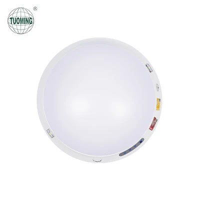 Qab nthab Mount LED Emergency Teeb