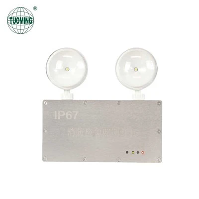 Phab ntsa-mounted IP67 Dual- taub hau Lub teeb